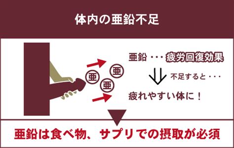 亜鉛 オナニー|亜鉛には精液を増やす効果があるって本当？亜鉛の基礎知識や摂。